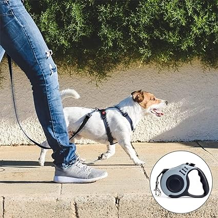 Laisse à enroulement automatique pour chien jusqu'à 30 Kg, 3 ou 5 mètres