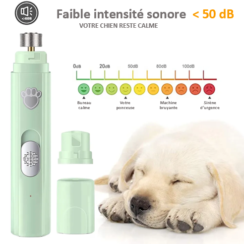 Ponceuse broyeuse pour ongles de chien , avec 2 vitesses de rotation Meule diamant performance et durable , 3 styles de taille , seulement 40dB, silencieux , confortable, chien et chat, intelligent, aussi pour les débutants, stockage facile, rechargeable, grande autonomie , pas de LUMIERE LED  faible intensité sonore : inferieure à 50 dB