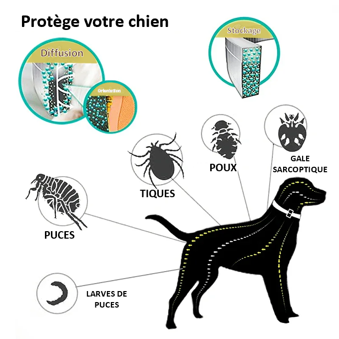 Collier ANTIPUCE, ANTILARVE de puces, ANTIPOUX, contre la GALE sarcoptique, et ANTITIQUE ; Facile à mettre en place , confortable pour votre chien ; EFFICACE 8 MOIS ; léger, souple et discret. Il est étanche et écologique. Vendu en LOT DE 2, pour chien de + ou - de 8 kg, et pour chat ! Pour une hygiène parfaite !! Pour une protection rapprochée de votre chien !