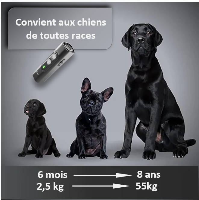 REPULSIF ULTRASONIQUE : Appareil à ULTRASONS  haute puissance pour chien ; plus adapté à l'INTERIEUR qu'à l'EXTERIEUR. Anti-aboiement, dispositif d'entraiment , anti-creusement, anti-chasse. Convient parfaitement aux séances de dressage. RECHARGEABLE en USB, grâce à un câble USB fourni avec l'appareil REPULSIF ULTRASONIQUE. Utilisation optimale : entre 1 et 5 mètres. NE CONVIENT PAS AUX ENFANTS ; TENIR HORS DE LEUR PORTEE.  Fréquences : entre 20 Khz et 25 Khz ; CADEAU IDEAL !! 