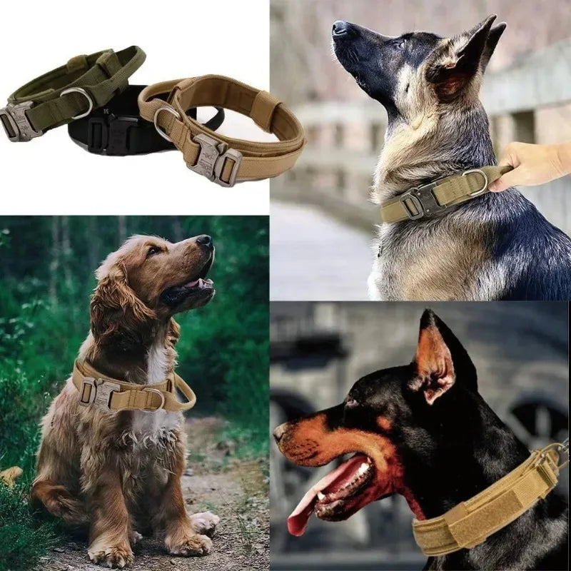 COLLIER TACTIQUE et LAISSE DE DRESSAGE solide pratique fiable, 7 couleurs ou coloris, 3 tailles , pour chien moyens ou grands, BERGER ALLEMAND, MALINOIS, chien sportif, avec poignée de proximité, boucle métal robuste , anneau en D , randonnée, patrouille, PATPATROUILLE, police, armée, militaire, promenade,. Confort, Nylon alliage de ZINC, TOUTES RACES . CADEAU IDEAL  4 Chiens très mignons