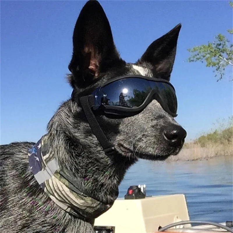 Lunettes de soleil pour chien, avec sangles réglables anti-UV imperméables coupe-vent, protection des yeux pour chiens de taille moyenne et grande ; Confortables et élégantes. La monture souple s'ajuste à la tête de votre chien. Il peut passer la tête par la fenêtre de la voiture et profiter !  Chien sur un bateau ! 