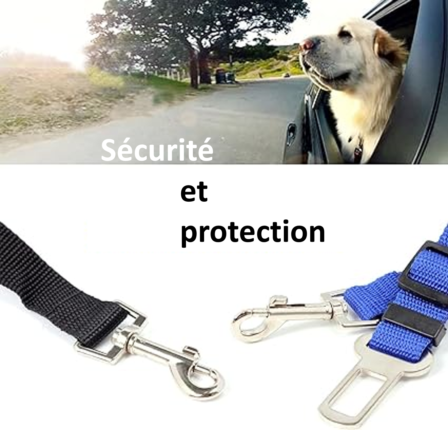 Ceinture de sécurité pour chien laisse de sécurité chien chat en voiture TOUTES MARQUES SUV CAMION CAMIONNETTE ajustable ergonomique pratique rapide et simple 1 seconde 86 centièmes , plus rapide que USAIN BOLT et ses 9 secondes 58 pour 100 mètres !!! Incroyable  !! faites un cadeau à votre chien ! SECURITE PROTECTION - SAUVEZ LUI LA VIE ! A la fenêtre de la voiture  